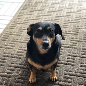 Meet your Posher, Michael